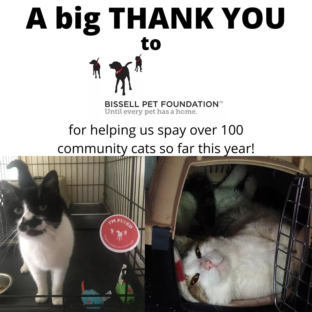 Bissell TNR Grant! Pets Come First